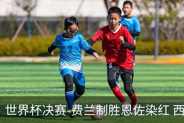 世界杯决赛-费兰制胜恩佐染红 西班牙加时1-0阿根廷夺冠