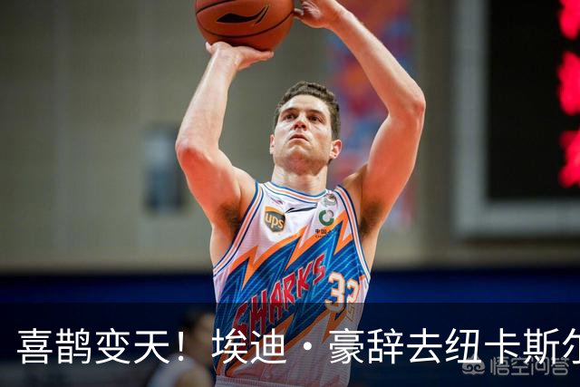 喜鹊变天！埃迪·豪辞去纽卡斯尔主帅，少帅雅伊斯勒或火速接棒