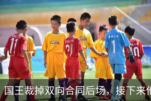 国王裁掉双向合同后场，接下来他还有机会重返NBA赛场吗？