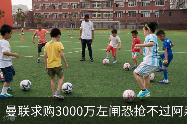 曼联求购3000万左闸恐抢不过阿森纳，还有7名候选，最便宜仅1300万