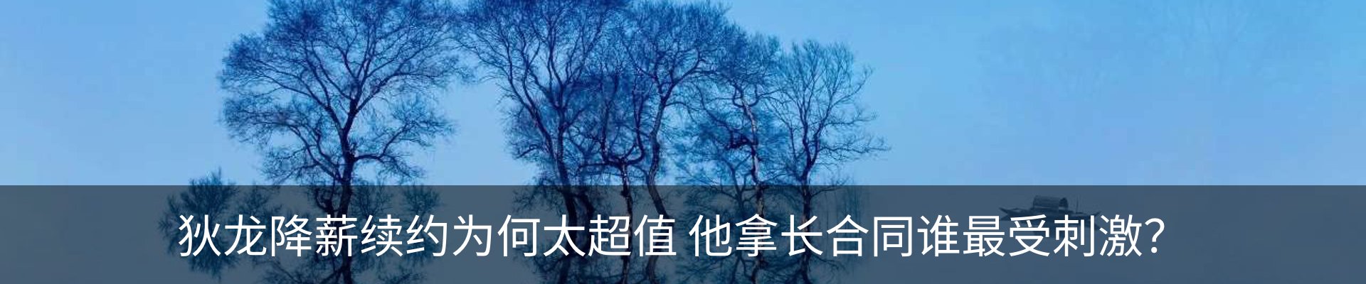 新闻动态