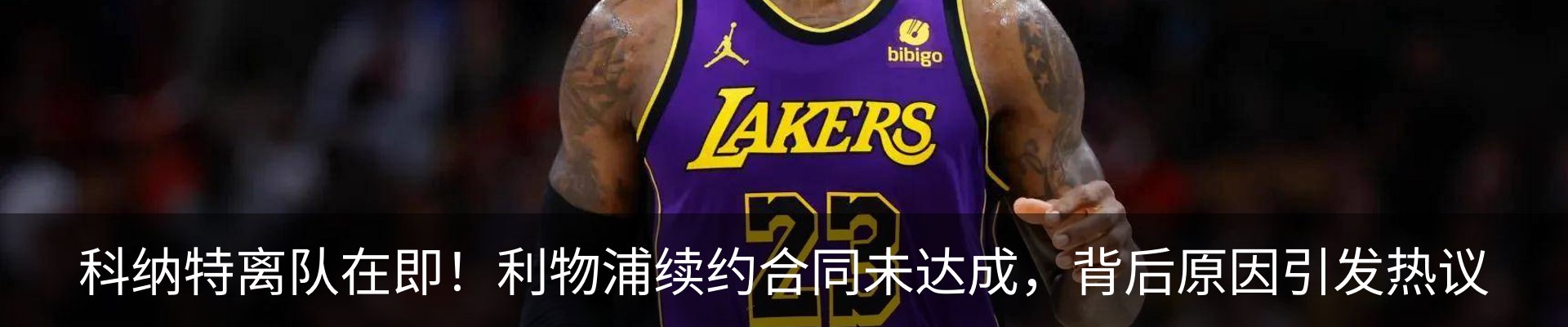 新闻动态