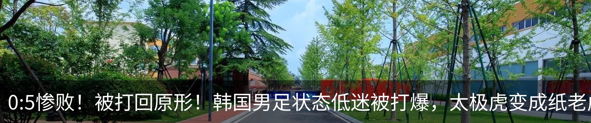 新闻动态